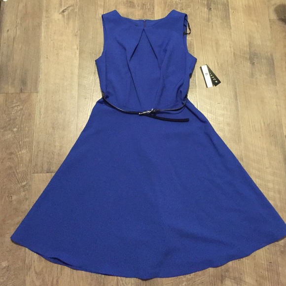 Fit and Flare Belted Royal Blue Dress