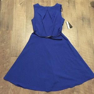 Fit and Flare Belted Royal Blue Dress
