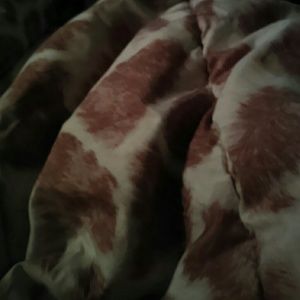 Meet your Posher, Stanna