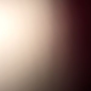 Meet your Posher, Gavin