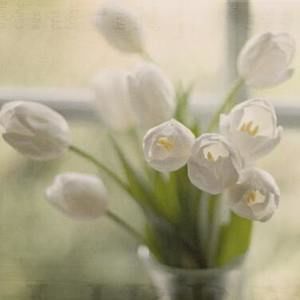 Meet your Posher, Nurgul