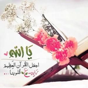 Meet your Posher, Mona