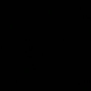 Meet your Posher, Alisa