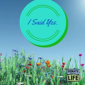 Meet your Posher, Dorothy