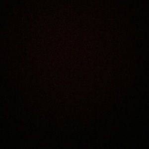 Meet your Posher, Amelia