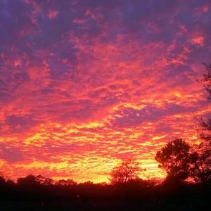 Meet your Posher, Nicki