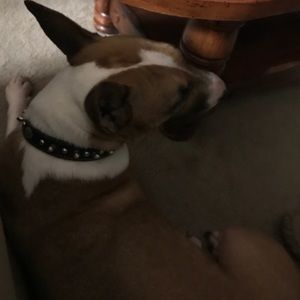 Meet your Posher, Marcus