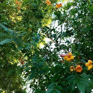 Meet your Posher, Ash