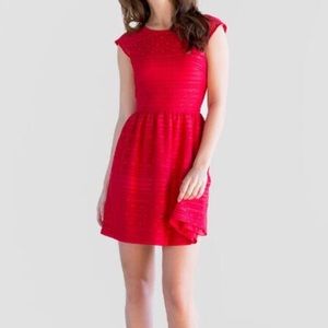 Red Faye Lace Dress Francesca's