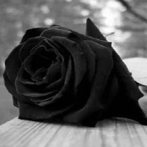 Meet your Posher, Fabiola