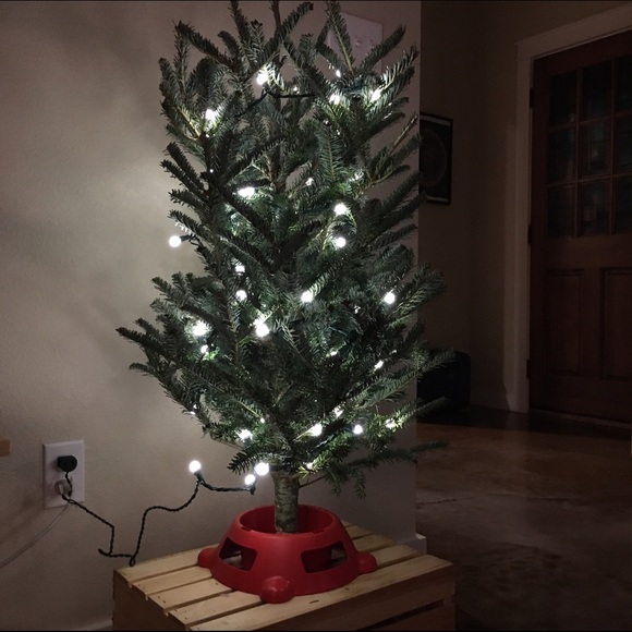 Meet your Posher, Contessa