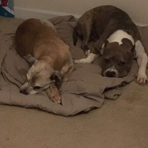 Meet your Posher, Jenn