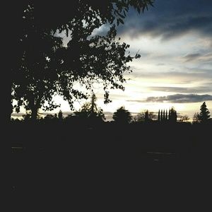 Meet your Posher, Juan