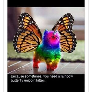 Meet your Posher, Colleen