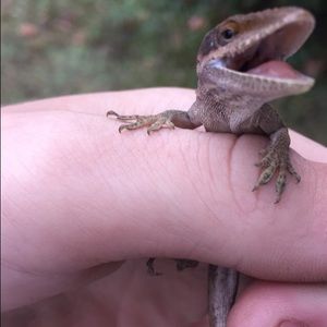 Meet your Posher, Tristan