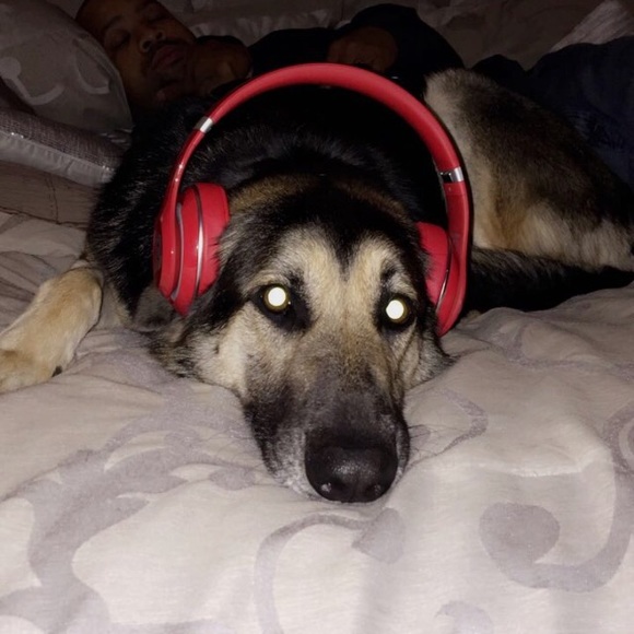 Meet your Posher, Kassi - Picture 1 of 1