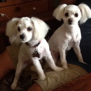 Meet your Posher, Tina