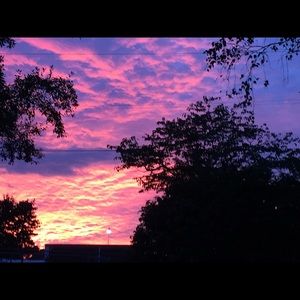 Meet your Posher, Saundra