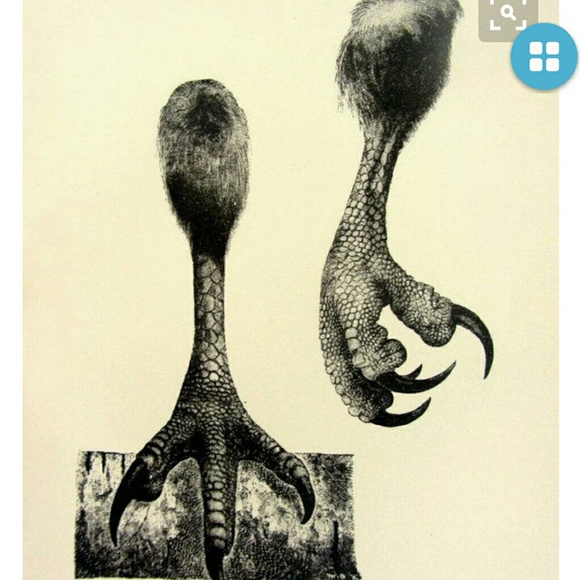 Meet your Posher, Shannon - Picture 1 of 1