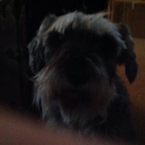 Meet your Posher, Sharon