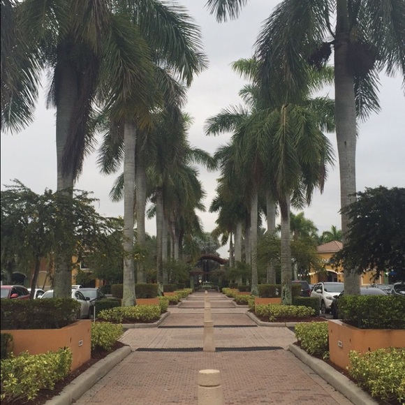 Meet your Posher, Mikayla - Picture 1 of 1