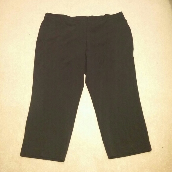 Avenue Petite Length Dress Pants Plus Size