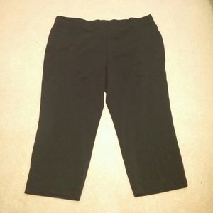Avenue Petite Length Dress Pants Plus Size
