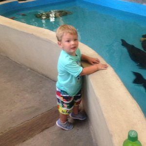 Meet your Posher, Mickey