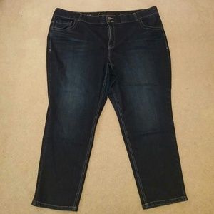 Lane Bryant Short Length Skinny Jean T3
