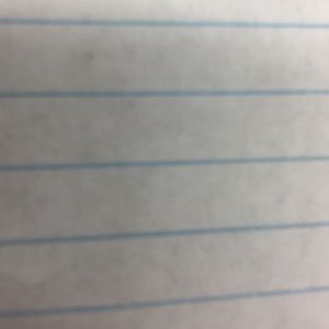 Meet your Posher, Manny