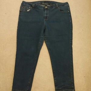 Lane Bryant Skinny Genius Fit Jeans Petite Length