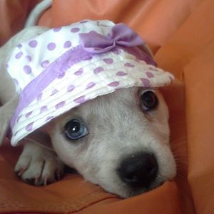 Meet your Posher, Celia