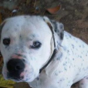 Meet your Posher, Beverly