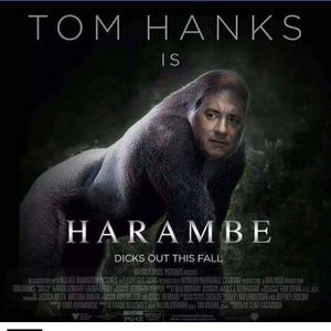 Meet your Posher, Alejandro