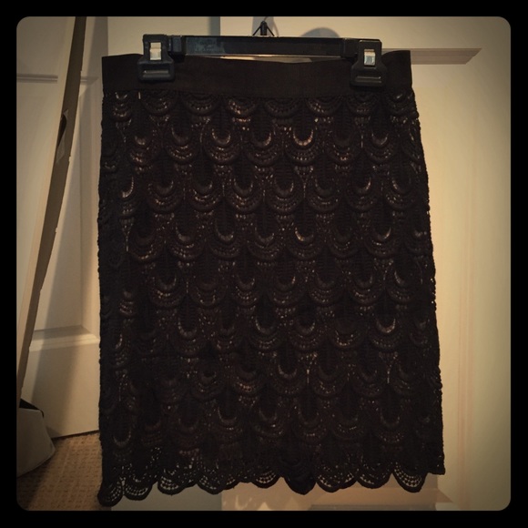 NWT Ann Taylor lace skirt
