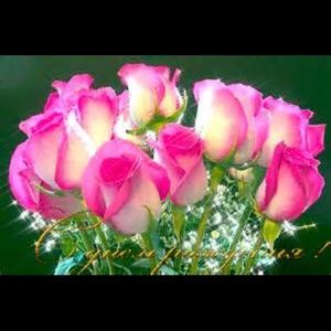 Meet your Posher, In