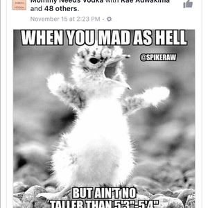 Meet your Posher, Ginny