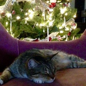 Meet your Posher, Tabitha