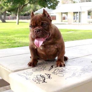 Meet your Posher, Rodney