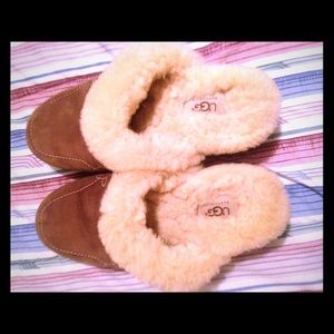 Uggs shoes