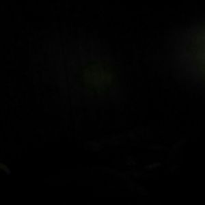 Meet your Posher, Jochy