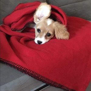 Meet your Posher, Michele