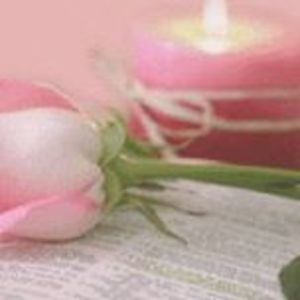 Meet your Posher, Shalani