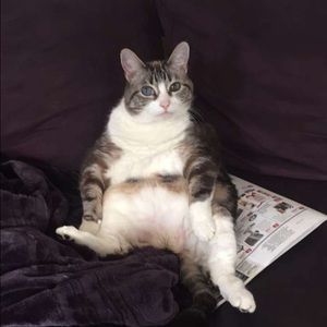 Meet your Posher, Felicity