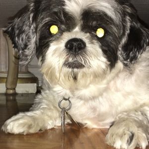 Meet your Posher, Arthur