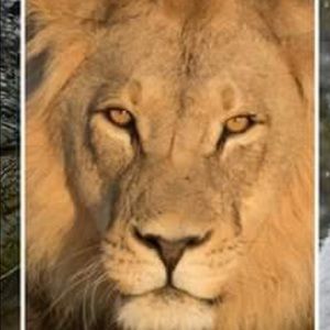 Meet your Posher, Mercedes