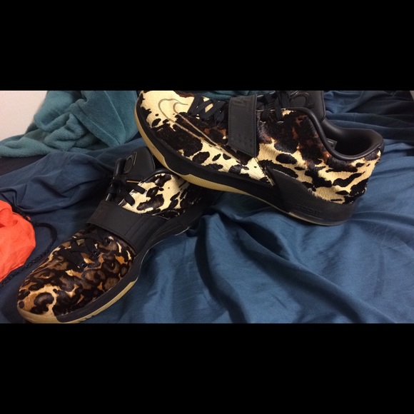KDs