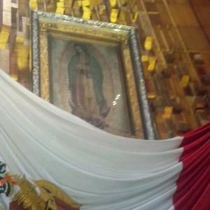 Meet your Posher, Marisol