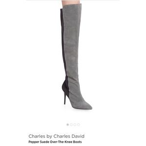 Charles by Charles David Knee High Boots