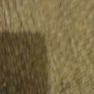 Meet your Posher, Jaylen